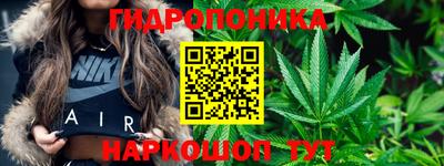гидра Партизанск