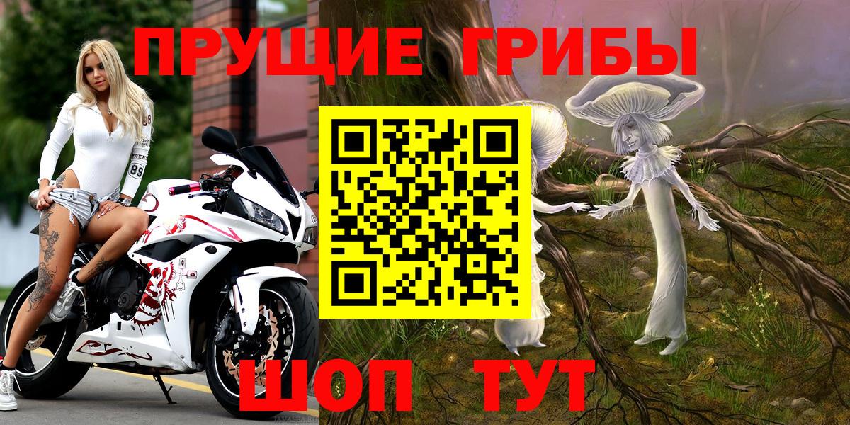 Галлюциногенные грибы Psilocybe Усть-Джегута