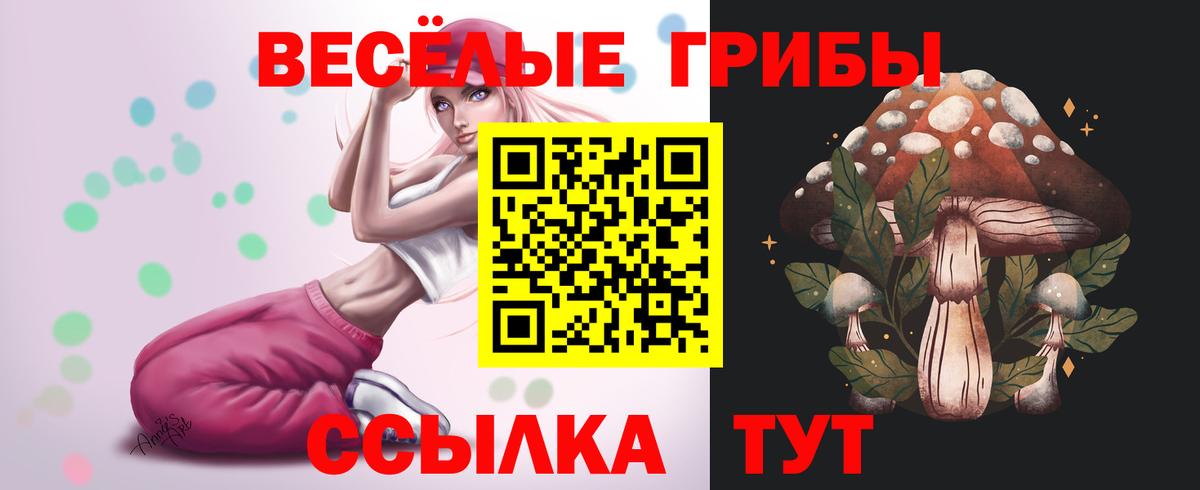 Псилоцибиновые грибы GOLDEN TEACHER  Галлюциногенные грибы Cubensis  Вход с VPN  Усть-Джегута 